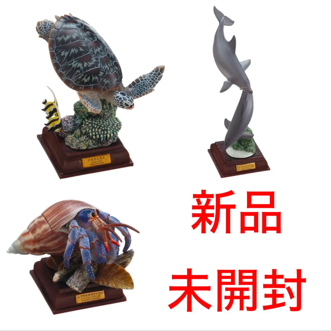 ネイチャーテクニカラー 小笠原 特装版 全6種セット（カプセル