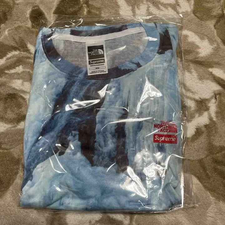 Supreme The North Face Ice Climb TeeアイスクライムTシャツ Supreme The North Face Ice Climb Tee
