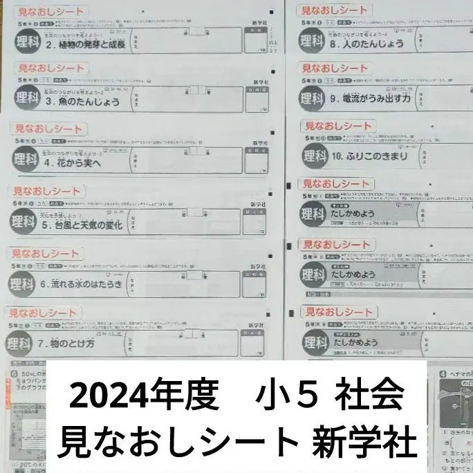 2025年最新】カラーテスト 5年 新学社の人気アイテム - メルカリ 2025年最新】カラーテスト 5年 新学社の人気アイテム - メルカリ