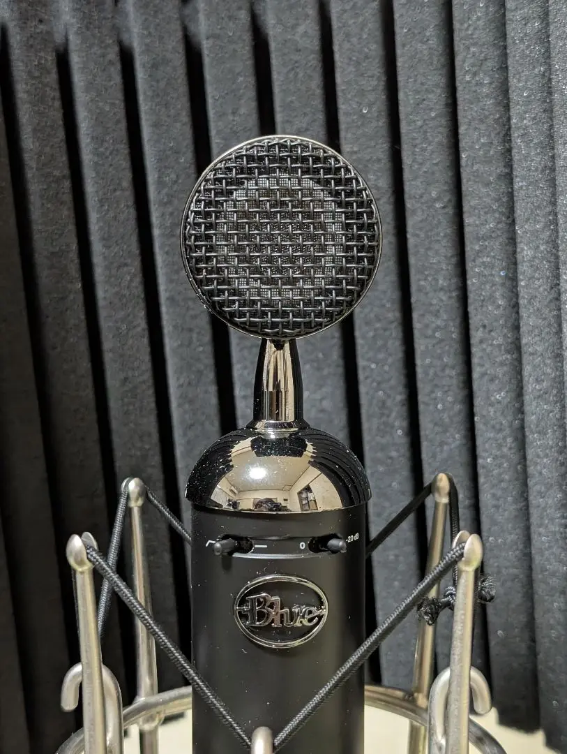 Blue BLACK OUT spark sl 【中古品】 Blue Microphones Blackout Spark SL Black | Guitar Center