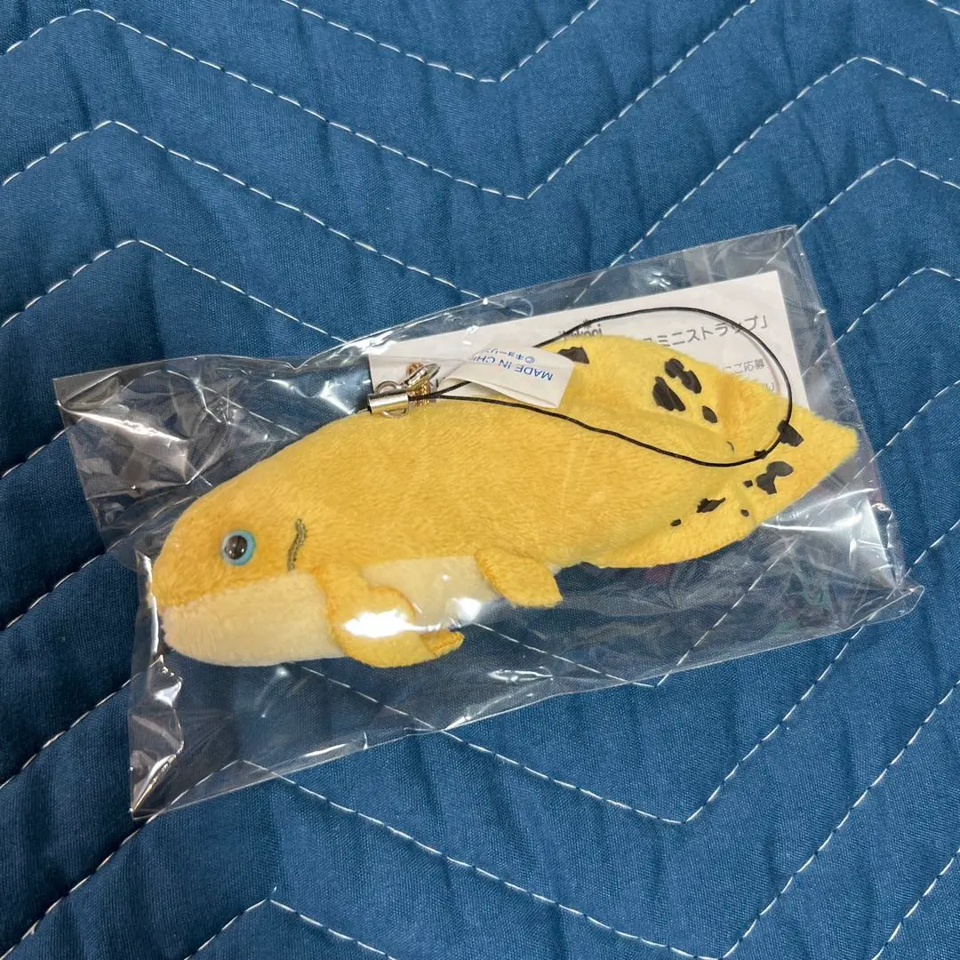 2025年最新】キョーリン ぬいぐるみの人気アイテム - メルカリ