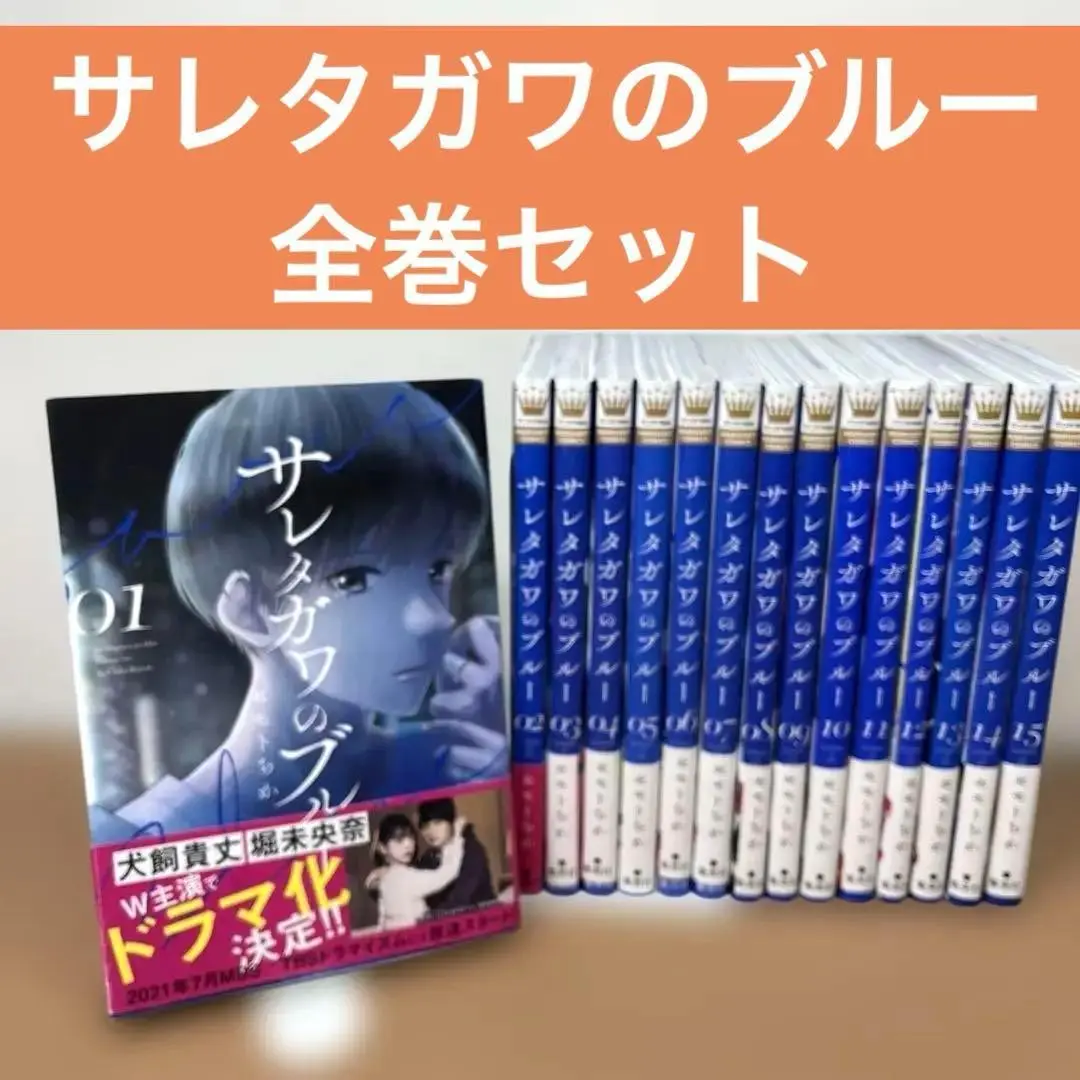 サレタガワのブルー 全巻セット 2025年最新】サレタガワのブルー 全巻の人気アイテム - メルカリ