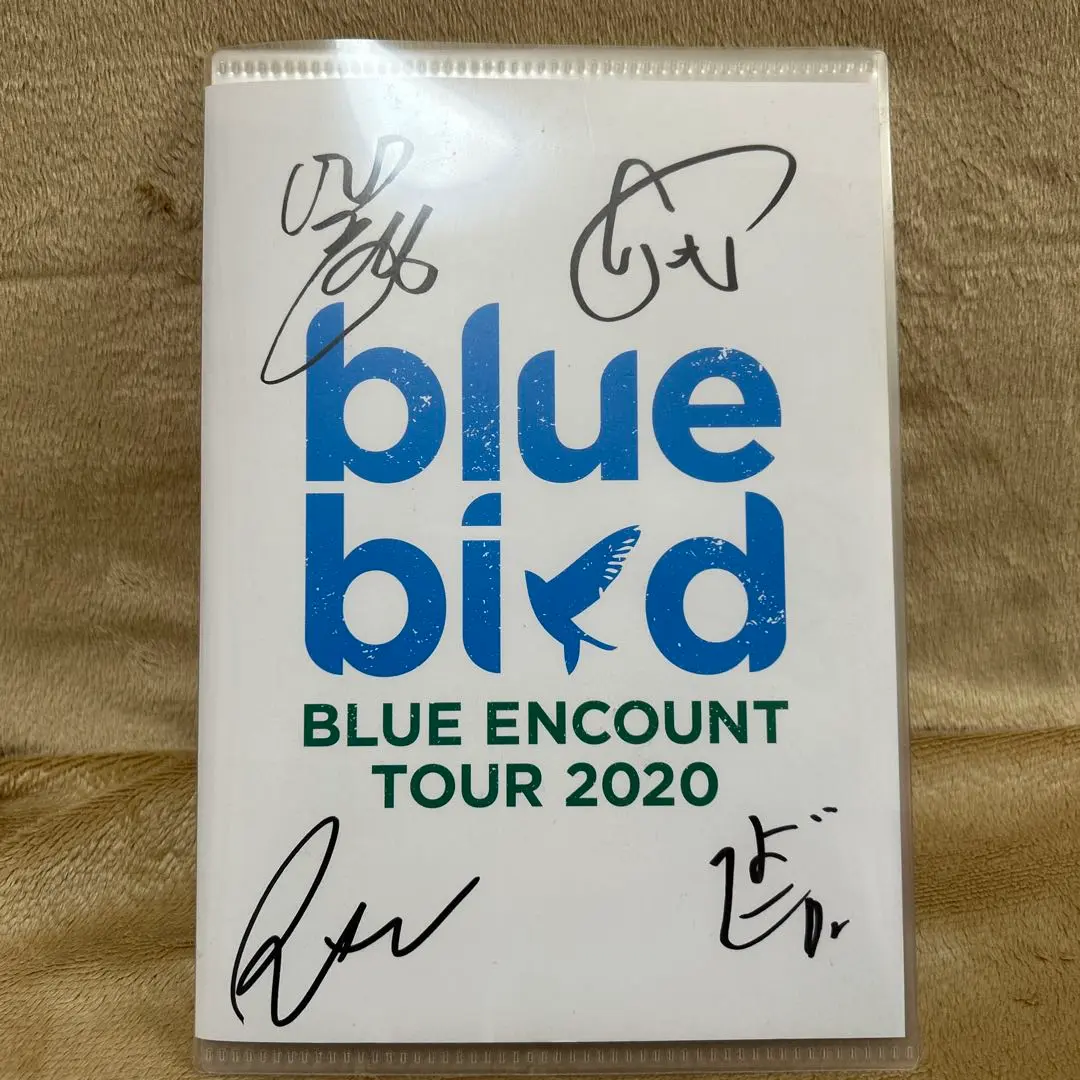 2025年最新】blue encount signalsの人気アイテム - メルカリ