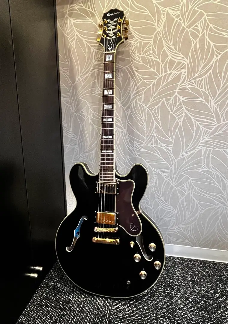 【最終値下げ】Epiphon Sheraton Ⅱ pro 純正ソフトケース付 2025年最新】Epiphone Ii Sheratonの人気アイテム - メルカリ