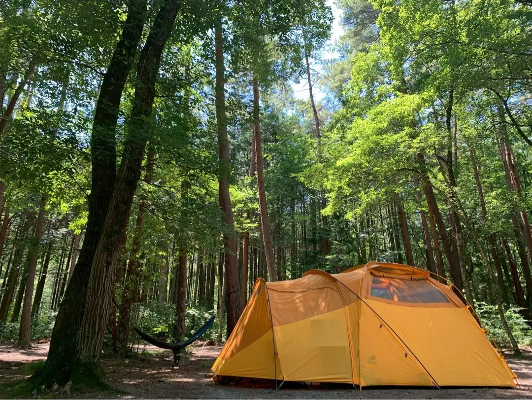 THE NORTH FACE Wawona 6ワオナ6 ペグ、グランドシート付き 夏用の新幕にいかかですか？設営が簡単すぎるノースフェイス