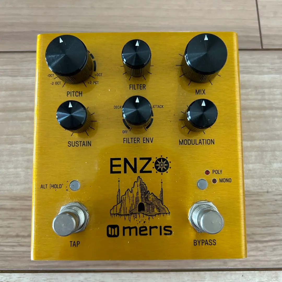 Meris ENZO（自作プリセットスイッチ付き） Preset Switch - ミュージカルインストゥルメント -ミックス