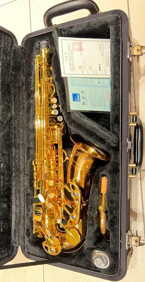 m66531460410_1.jpg?1742894049