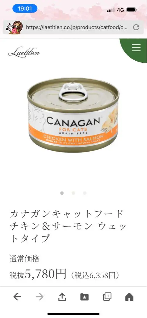 【6/6(金)到着】24缶 カナガンキャットフード チキン&サーモン 缶 猫缶 Amazon.co.jp: カナガン キャットフード チキン＆サーモン 缶詰