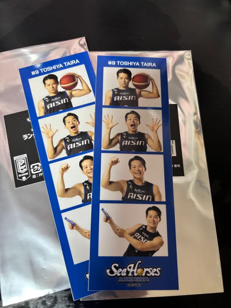 Thumbnail of Seahorses Mikawa #9 Hisaya Hirao Photo Card