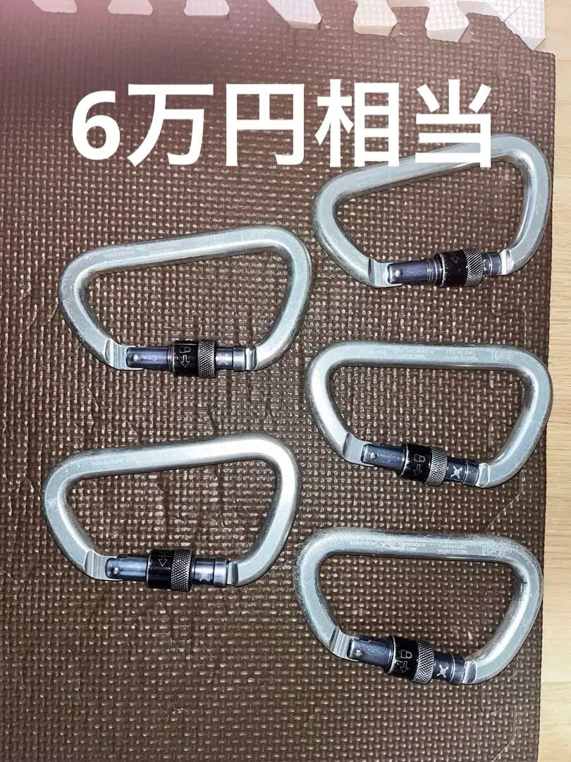 CMC rescue 8環　レスキュー　新品 Rescue 8 Figure Eight Rope Rappelling Descender | CMC PRO