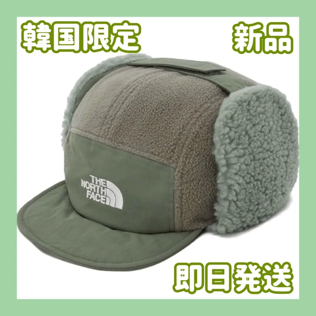 2025年最新】THE NORTH FACE カラー：グリーン系 フライト