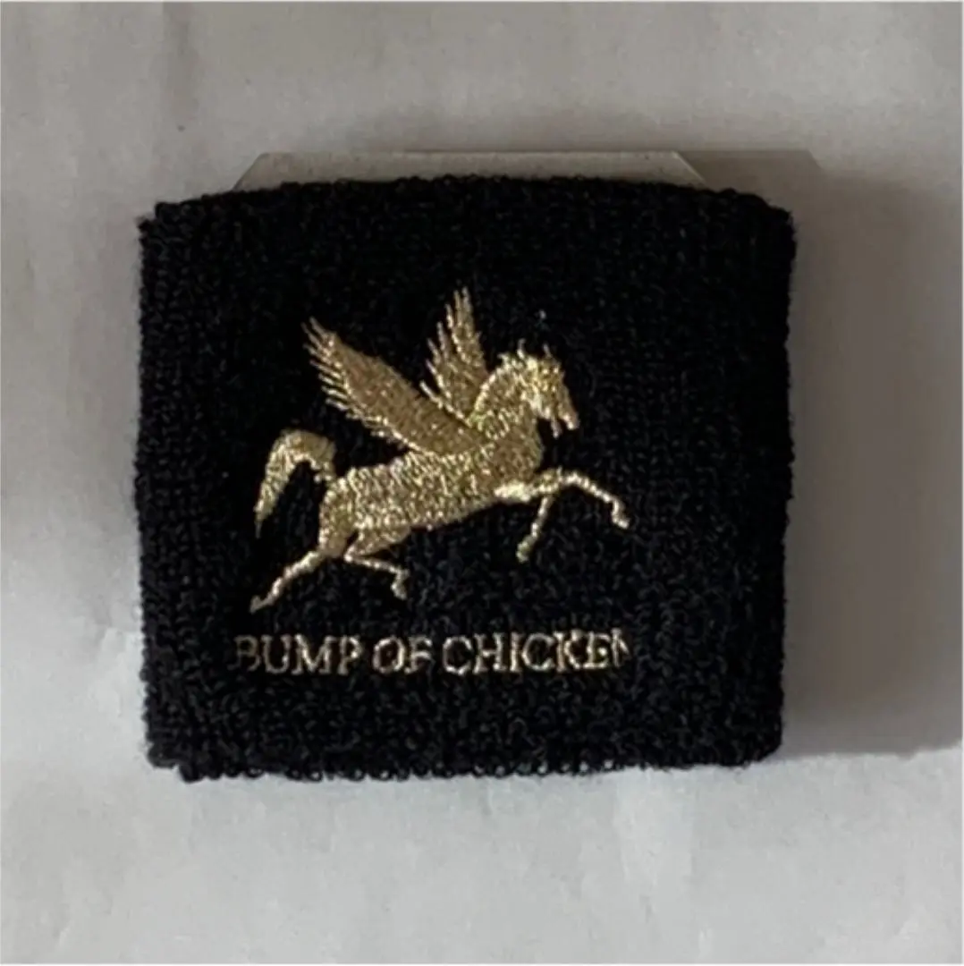 BUMP OF CHICKEN Pegasus youパーカーとポーチ 2025年最新】bump of chicken pegasus youの人気アイテム - メルカリ