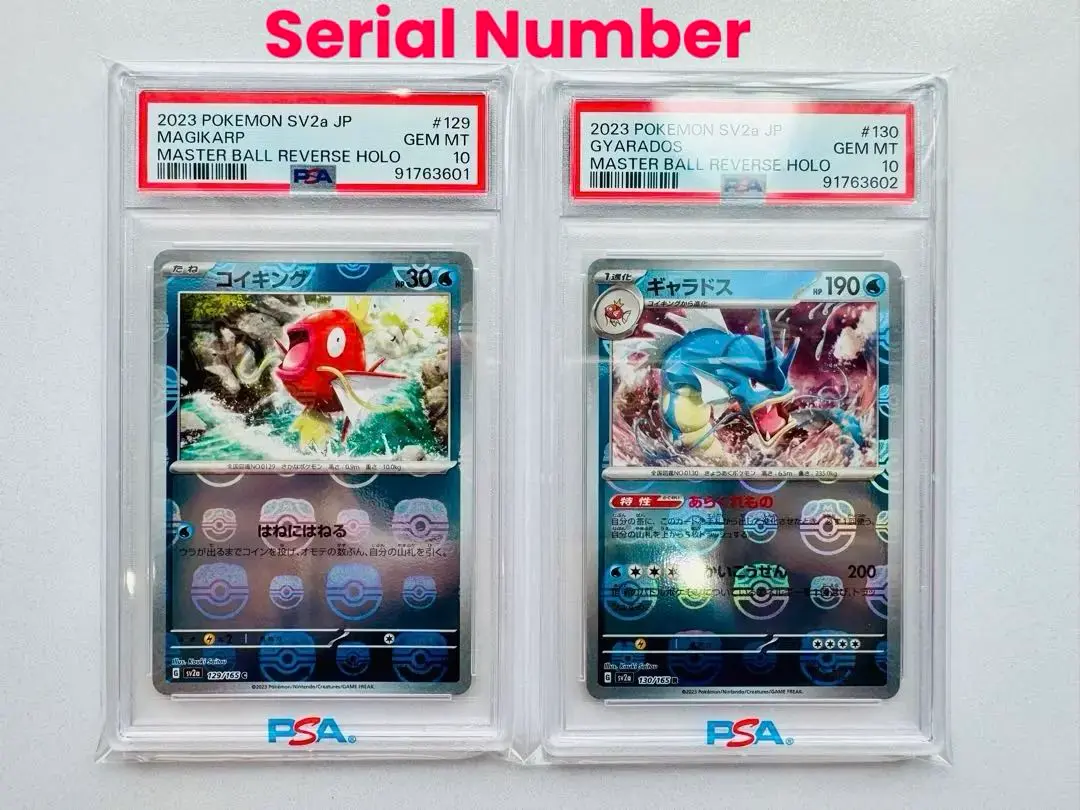 2025年最新】コイキング マスターボール psa10の人気アイテム 2025年最新】コイキング マスターボール psa10の人気アイテム