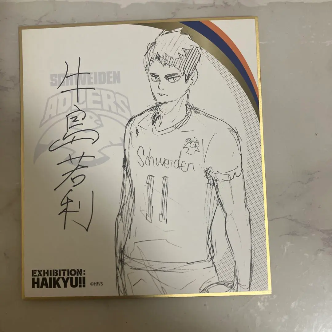 ハイキュー 希少 完結記念 当選品 サインボール 牛島若利 ハイキュー アマゾン 人気商品の ハイキュー : 完結記念 牛島若