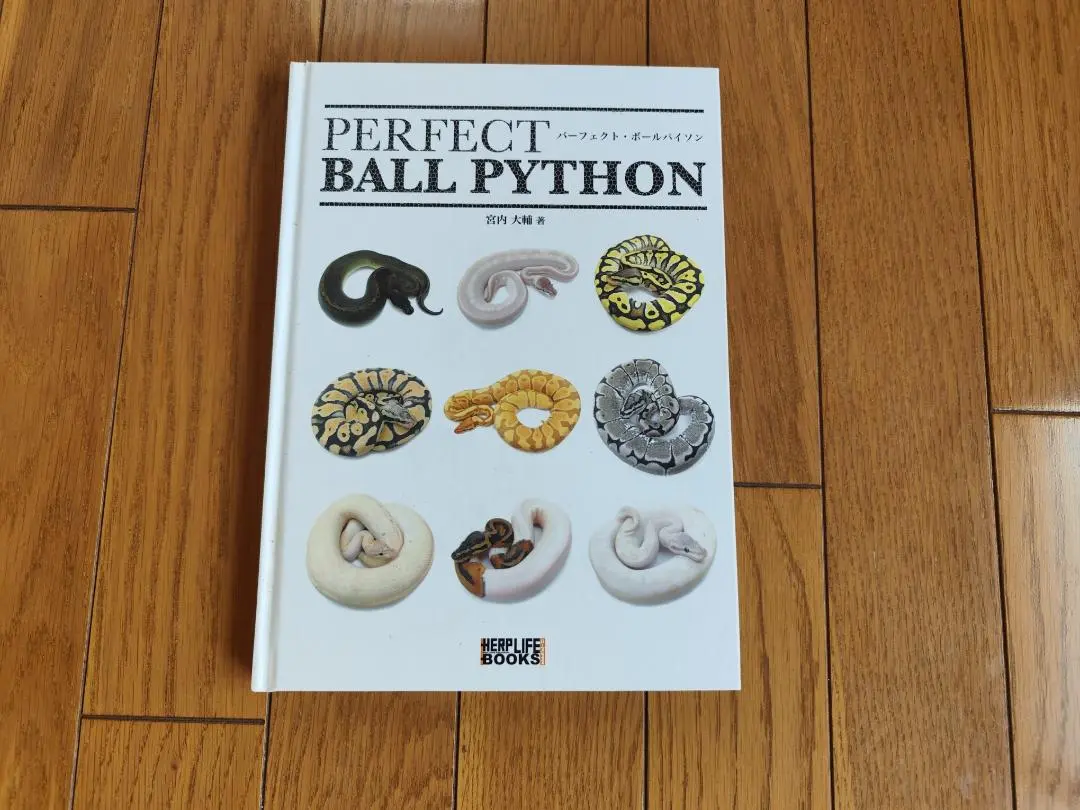 パーフェクト　ボールパイソン　PERFECT BALL PYTHON REP FAN レプファン Vol.21 PERFECT BALL PYTHON RETURNS
