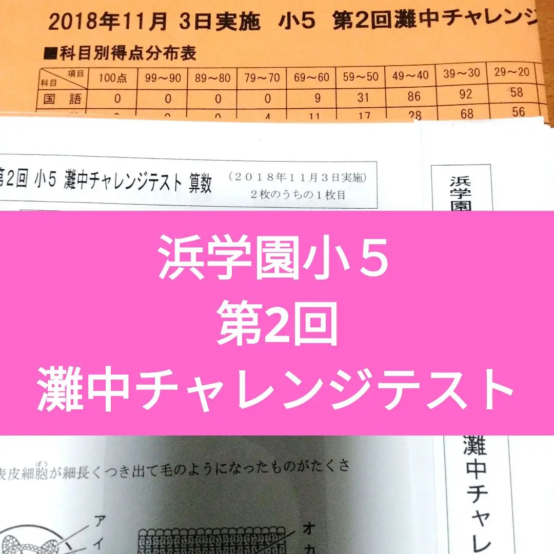 浜学園 小5 第2回 灘中チャレンジテスト 2018年11月実施 2018年度 浜学園 女子最難関中チャレンジテスト 小5 3年分 4教科 成績資料