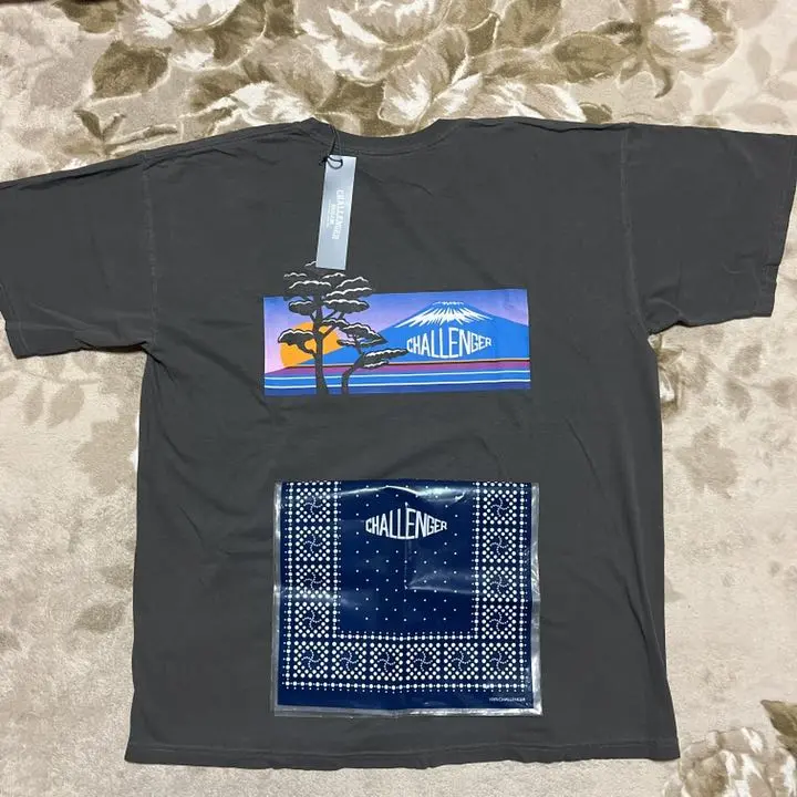 CHALLENGER NATURE tee JAPAN tシャツ XL 東京 CHALLENGER [チャレンジャー] NATURE JPN TEE ネイチャー
