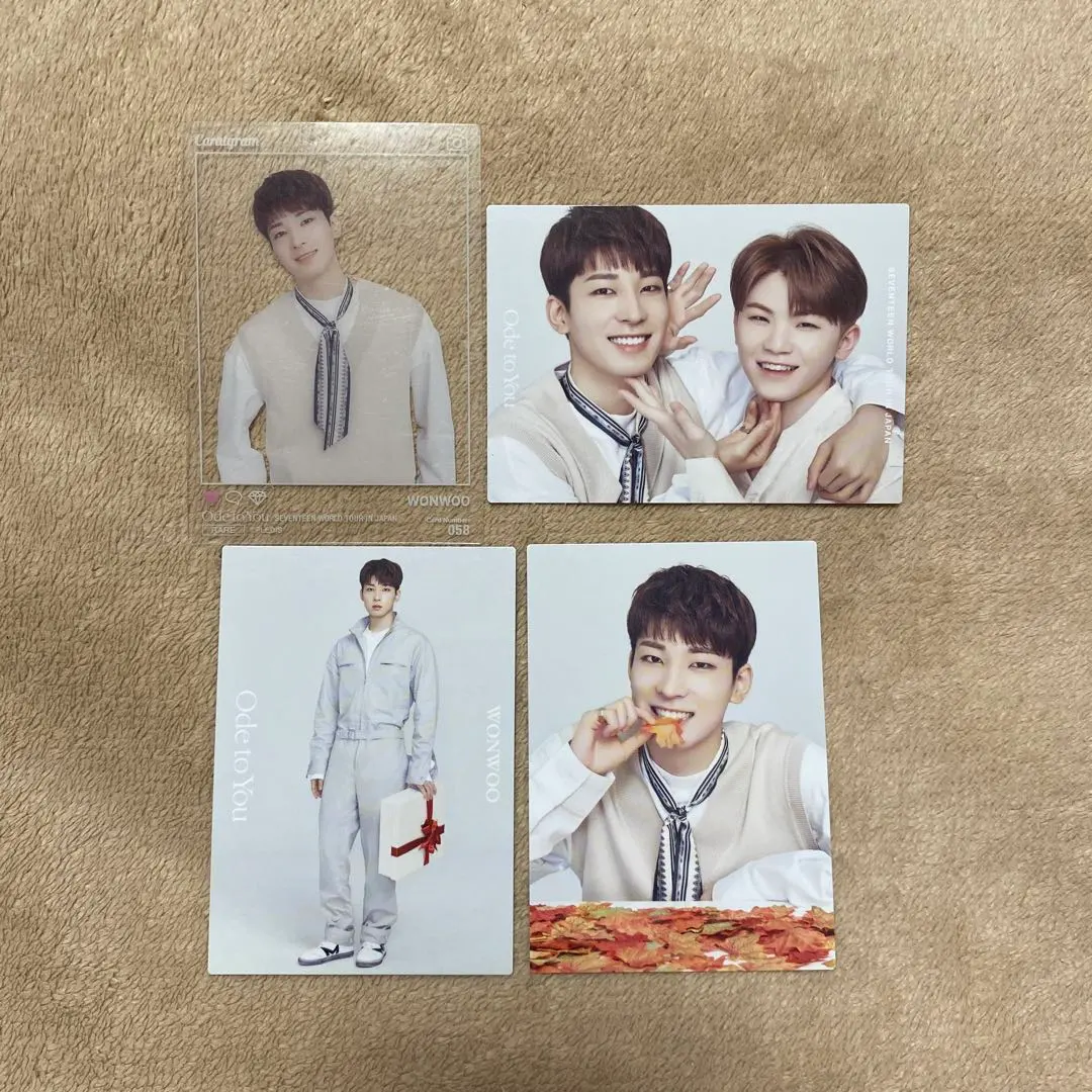 Thumbnail of SEVENTEEN Wonwoo Trading Card Ode To You