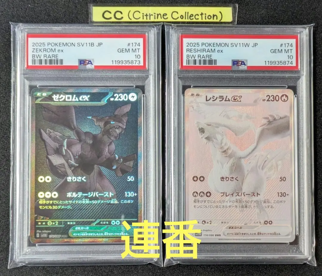 2025年最新】レシラムEX psa9の人気アイテム - メルカリ