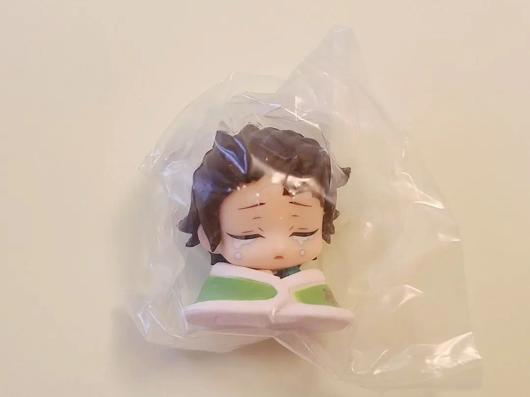 Thumbnail of Demon Slayer: Kimetsu no Yaiba Onemutan Volume 5 Tanjiro