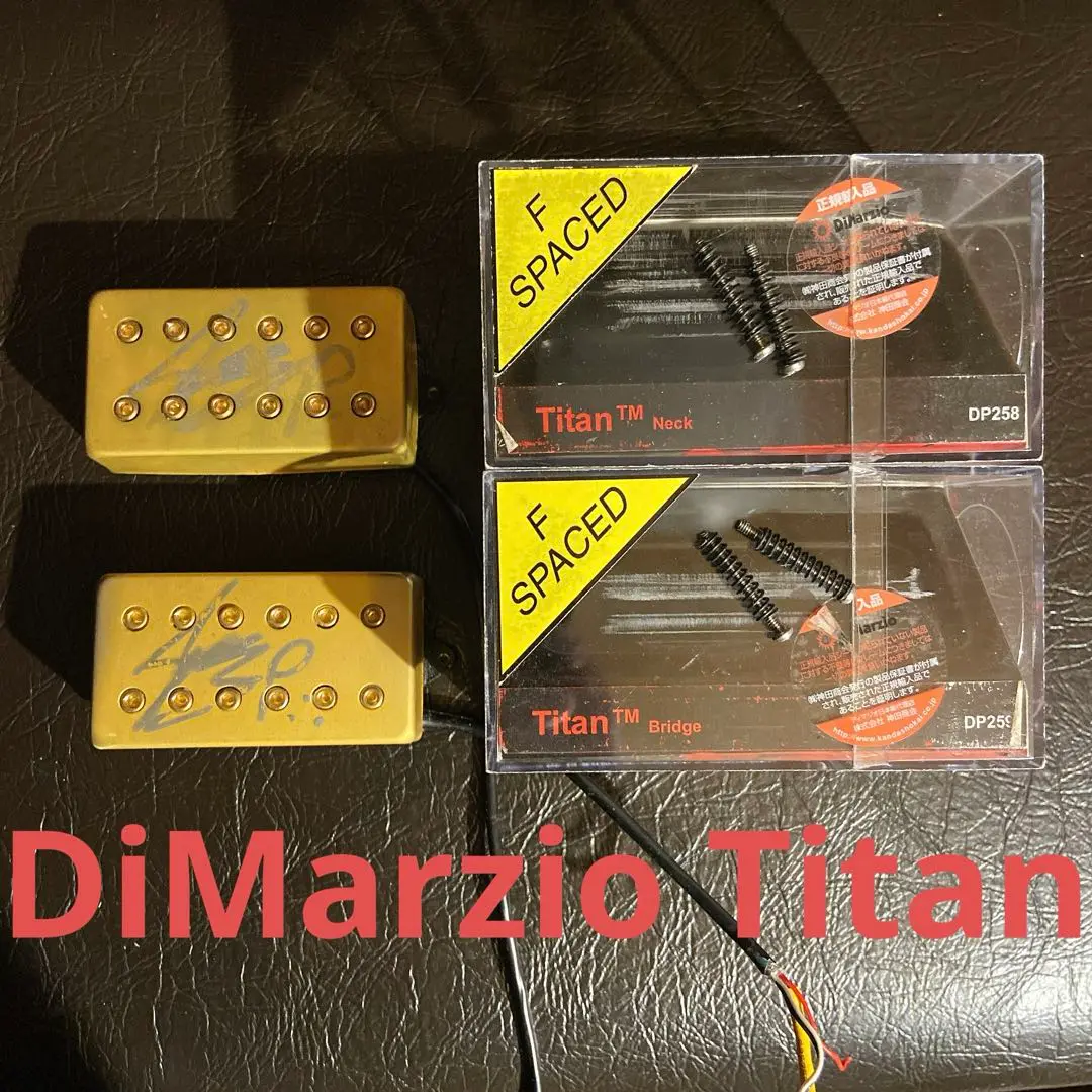 2025年最新】dimarzio titanの人気アイテム - メルカリ