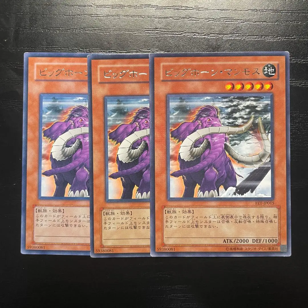 遊戯王 ビッグホーン・マンモス 旧アジア版 レリーフ 41YlK9Jp-DL._UF350,350_QL50_.jpg
