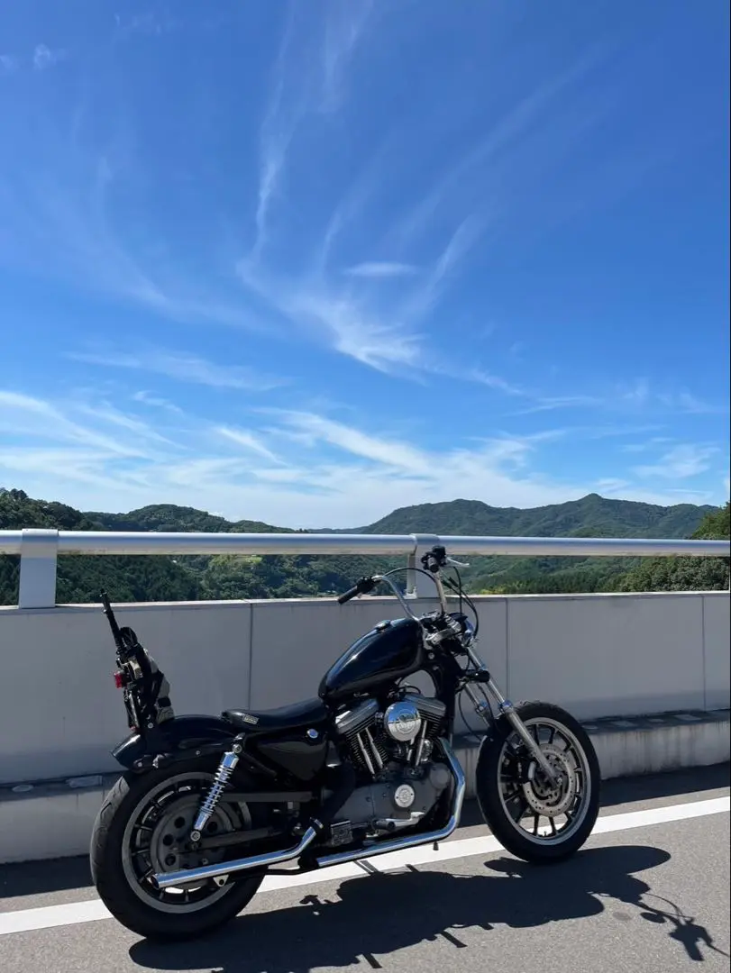 XL1200X 純正　トリプルツリー　2021年式 5bf68d0a-s.jpg