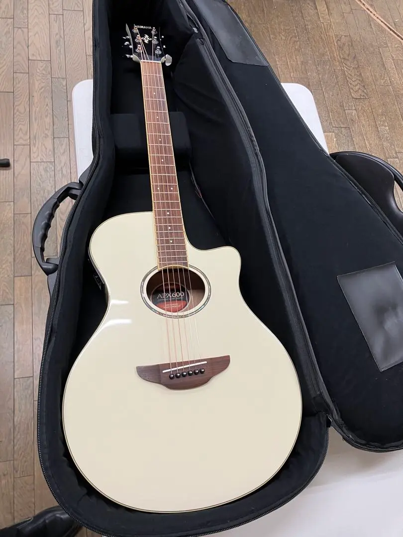 2025年最新】yamaha apx600の人気アイテム - メルカリ