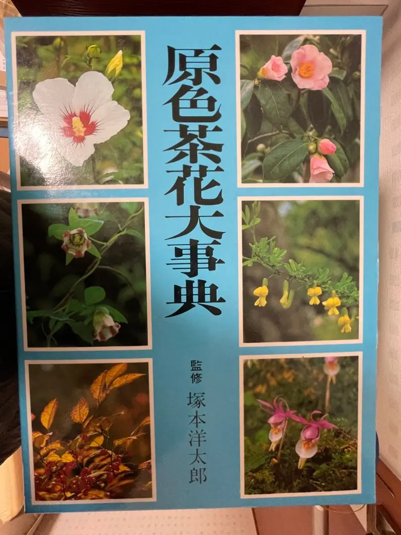 2025年最新】茶花大事典の人気アイテム - メルカリ
