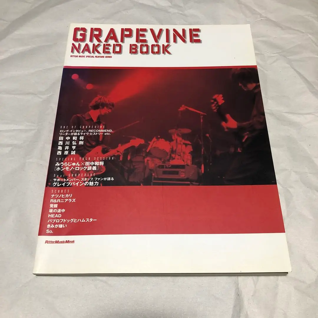 GRAPEVINE Here バンドスコア