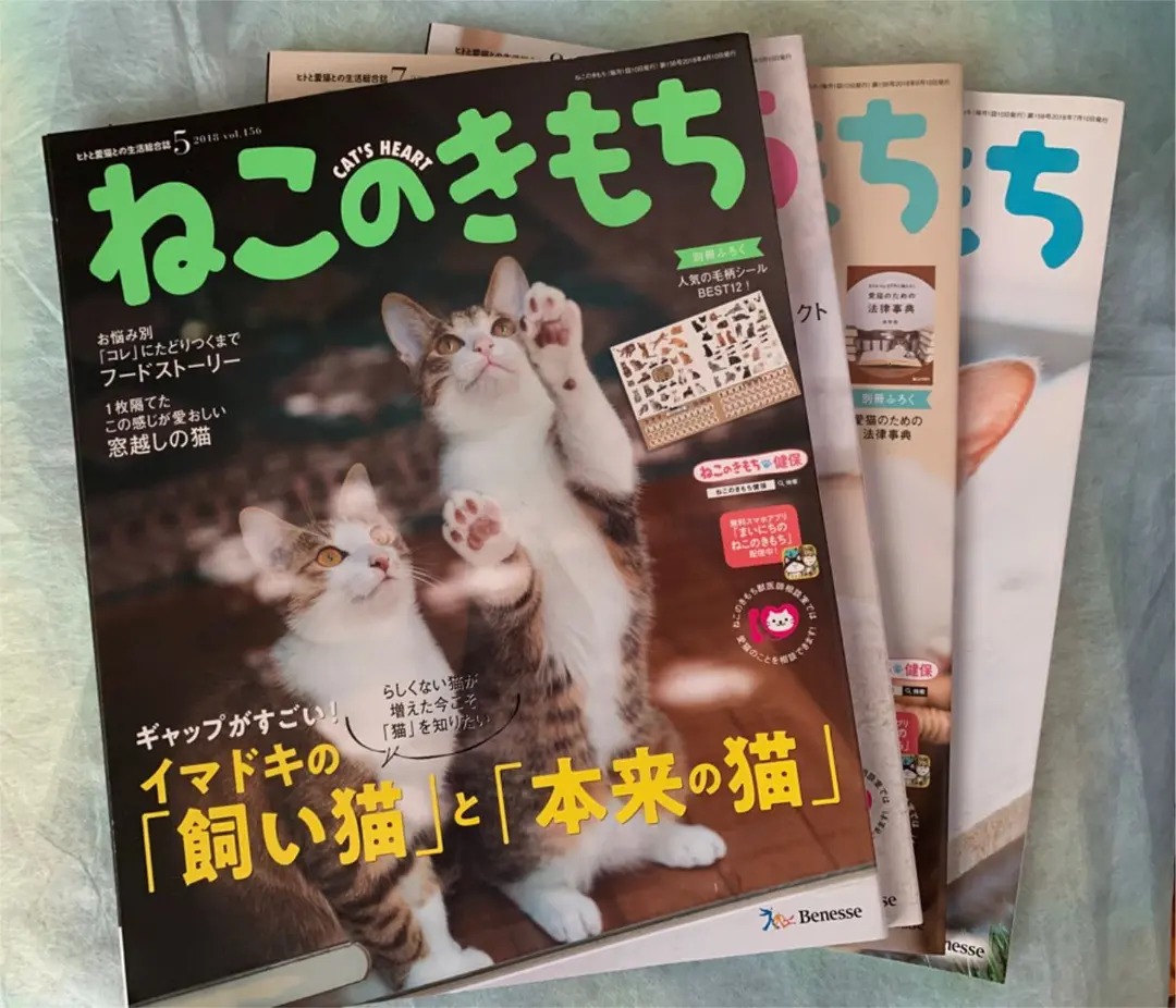 『即購入❌』ねこのきもち　雑誌　大量 ねこのきもちWEB MAGAZINE｜それでもやっぱり猫が好き
