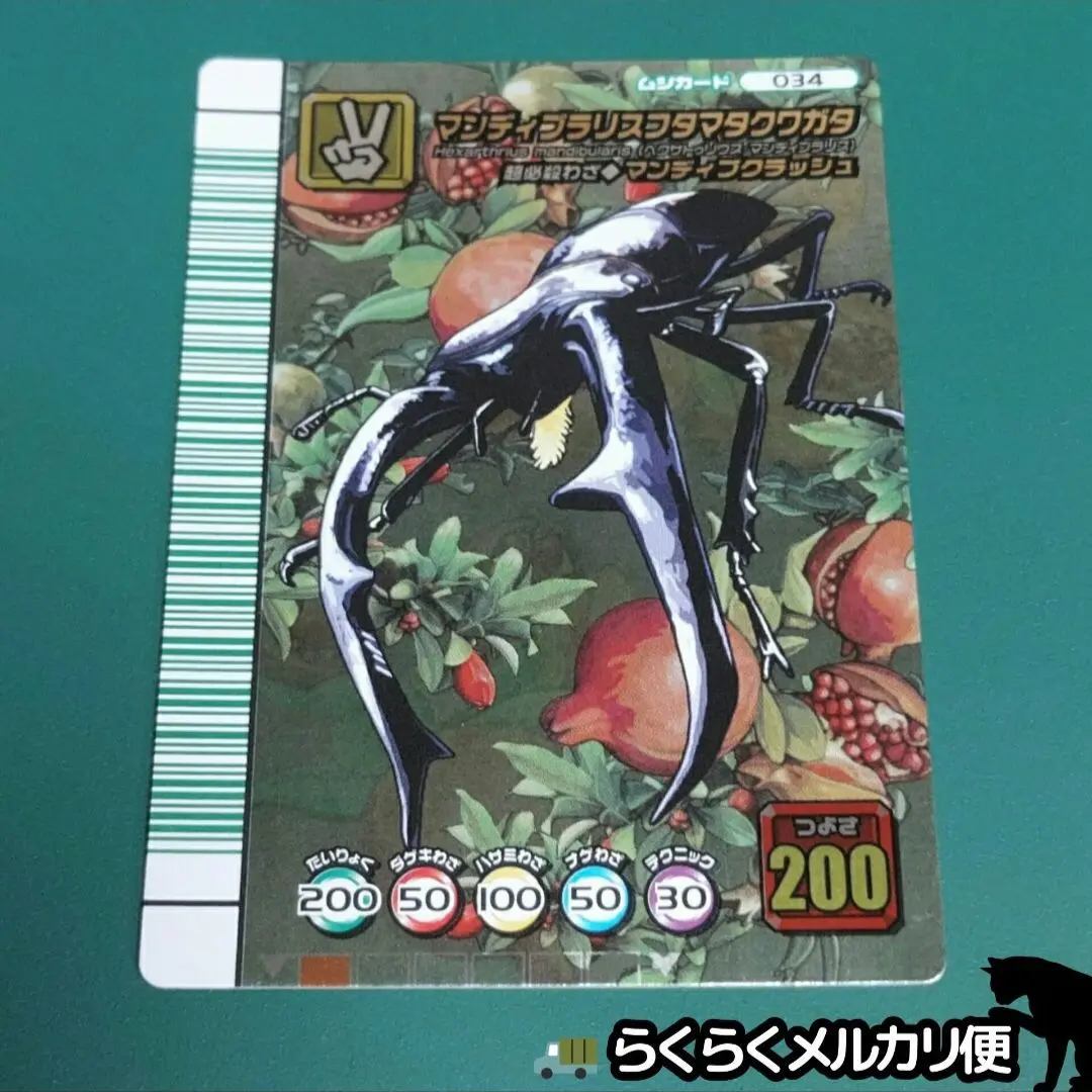2025年最新】マンディブラリスフタマタクワガタ 5周年の人気