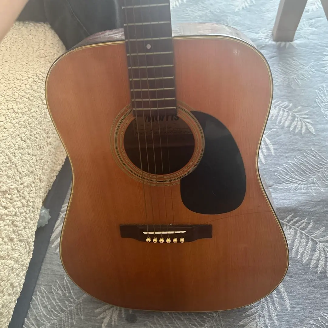 Thumbnail of [Morris] [Low Price] Acoustic Guitar