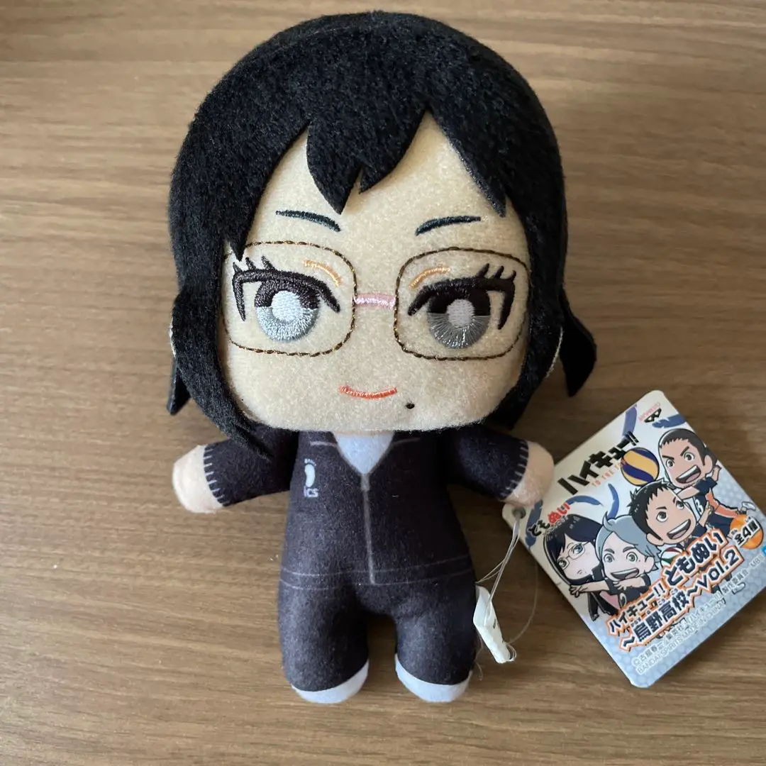 ハイキュー 清水潔子 ともぬい ぬいぐるみ - メルカリ