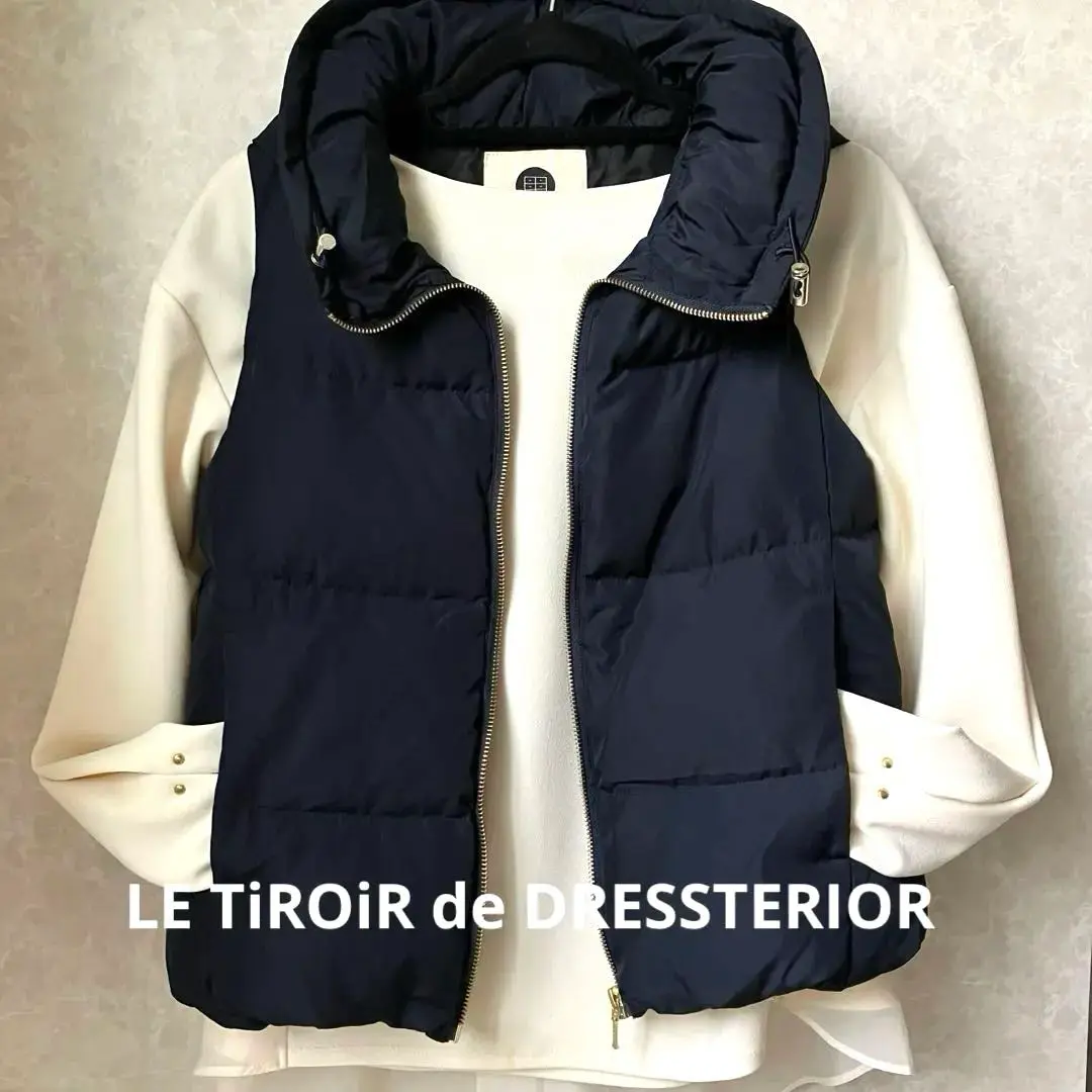 2025年最新】ドレステリア DRESSTERIOR ダウンベストの人気