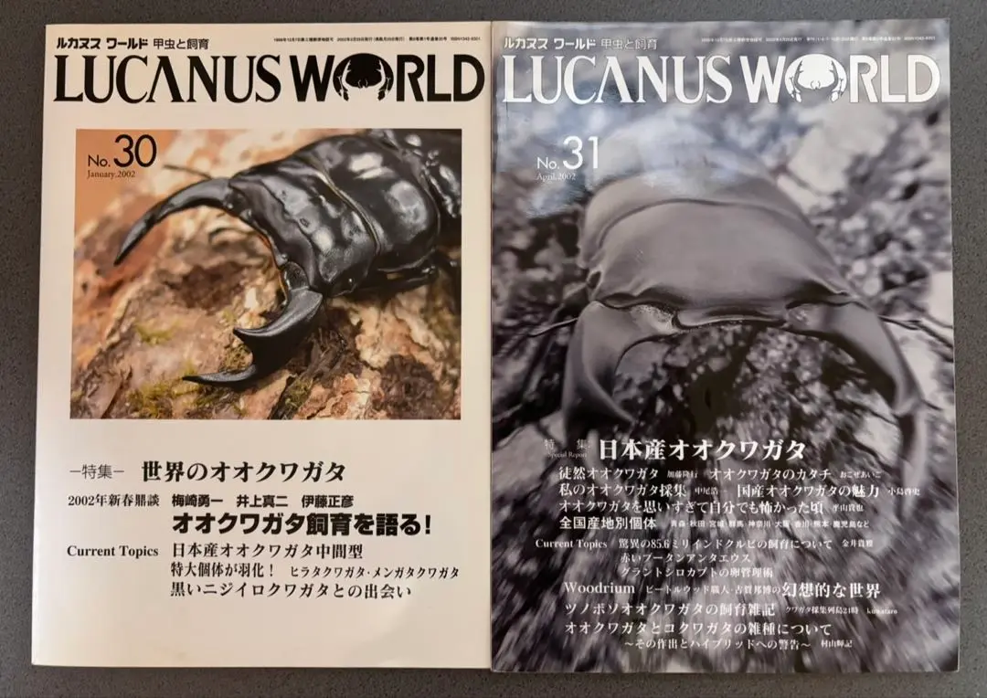2025年最新】月刊むし オオクワガタの人気アイテム - メルカリ