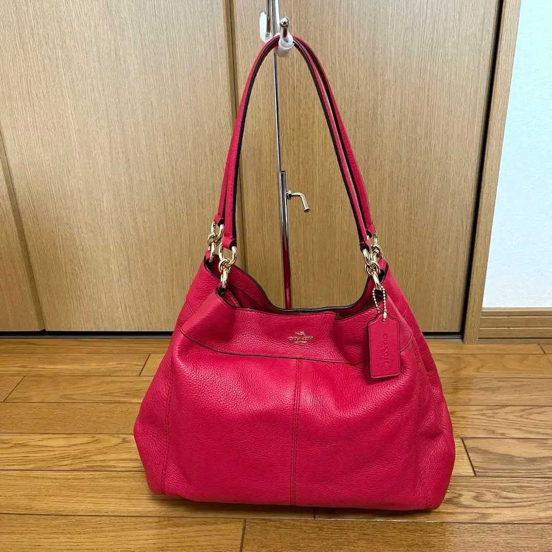COACH/コーチ】F57545 美品 ショルダー バッグ シボ革Ω