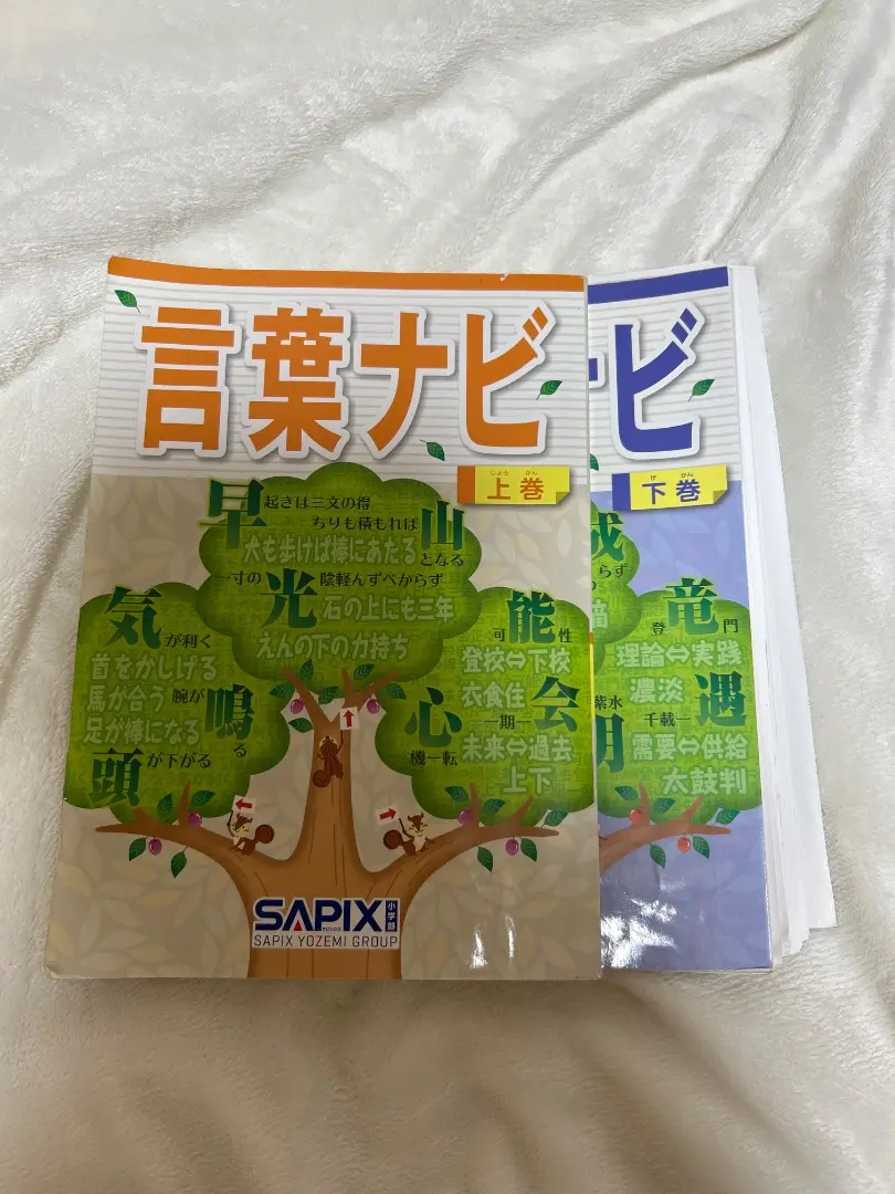 サピックス 言葉ナビ 上下巻セット