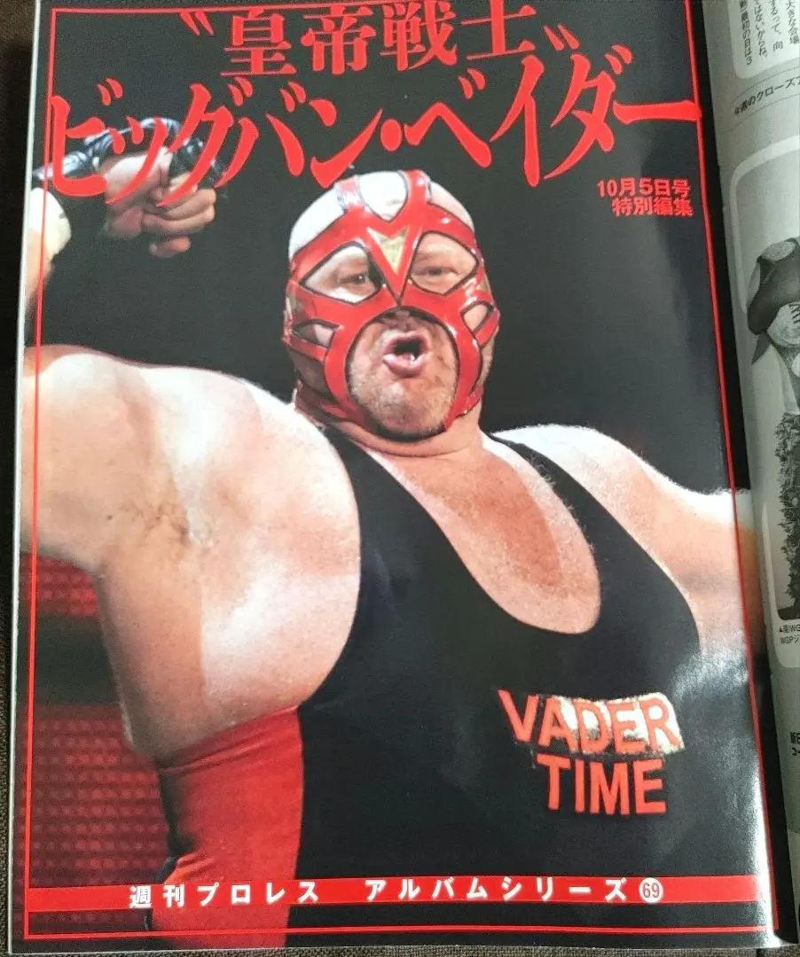 2025年最新】プロレスアルバム スタンハンセンの人気アイテム