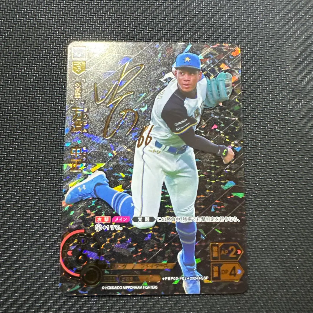 ドリームオーダー 万波サイン付き ssp プロ野球ドリームオーダー 万波中正 SSP サイン 日本ハム