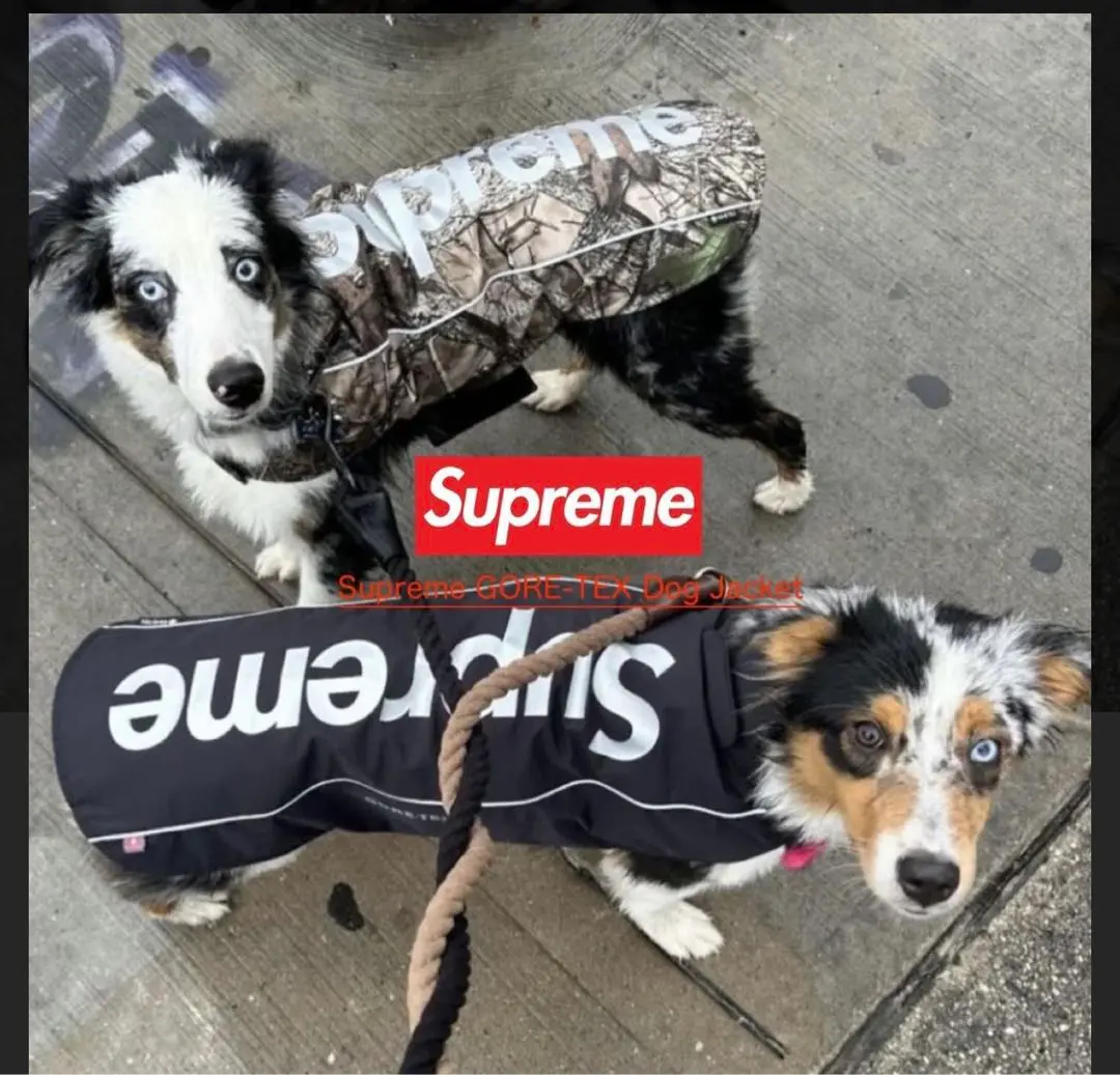 2025年最新】SUPREME 犬用品の人気アイテム - メルカリ