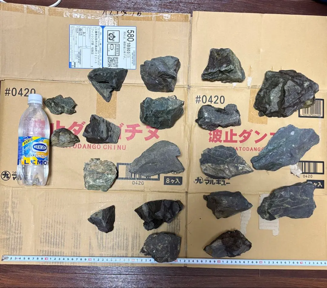 ADA 万天石 アクアテイク‐E ブログ: 当店秘蔵の万天石をご紹介します。