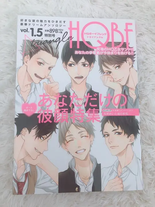 HQボーイフレンド(HQBF) 22冊セット /ハイキュー!!,同人誌 HQボーイフレンド HQBF ハイキュー同人アンソロジー 夢 同人誌