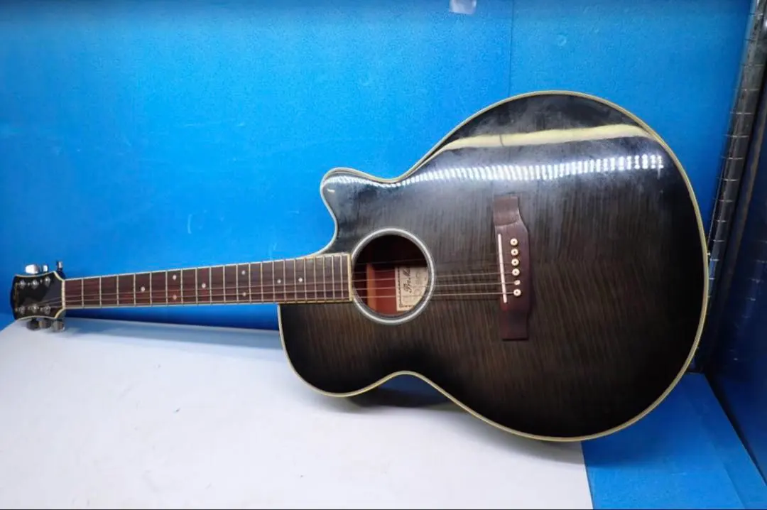 2025年最新】PROMARTIN ギターの人気アイテム - メルカリ