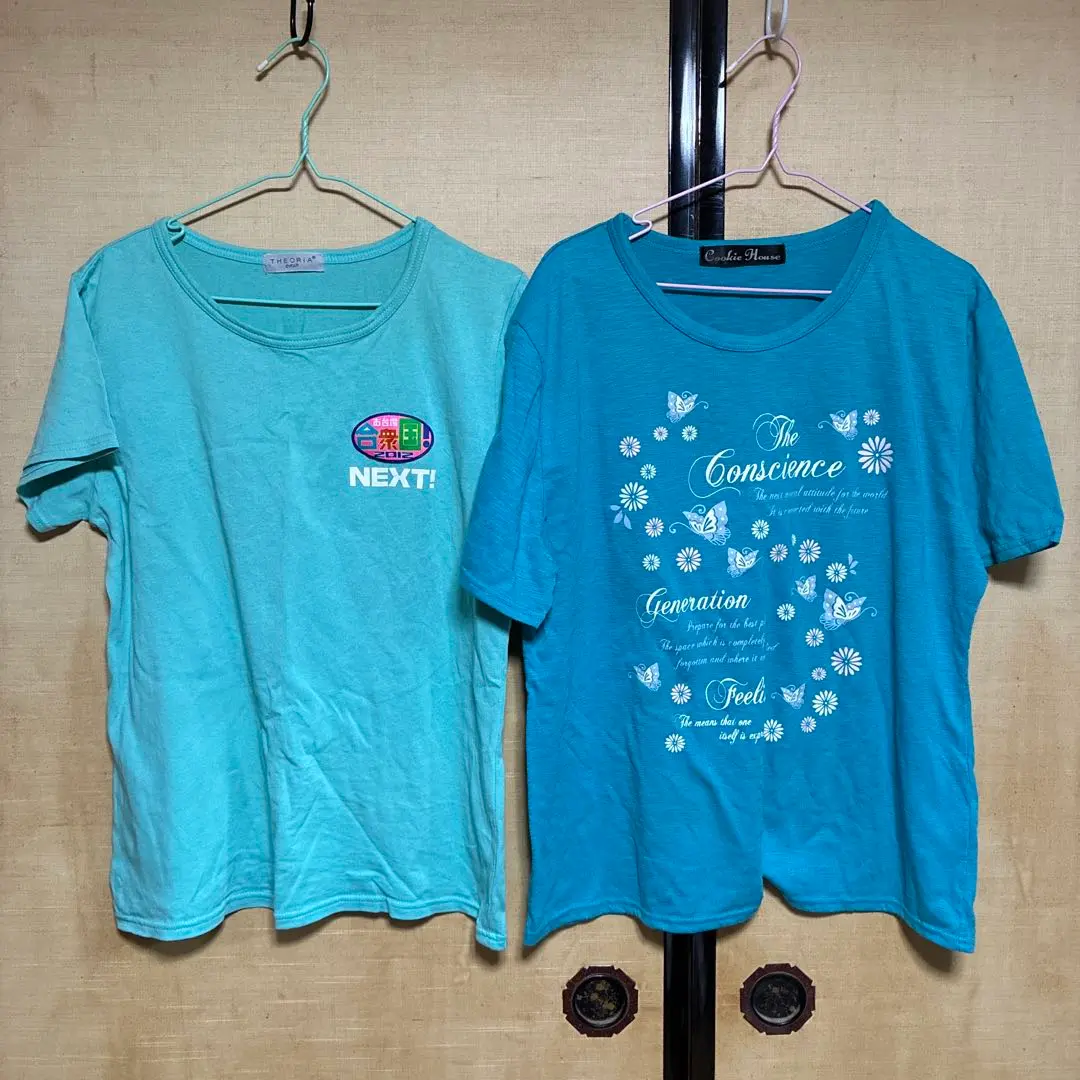 Amazon.co.jp: お台場合衆国 ピカルの定理 Tシャツ Lサイズ 千鳥
