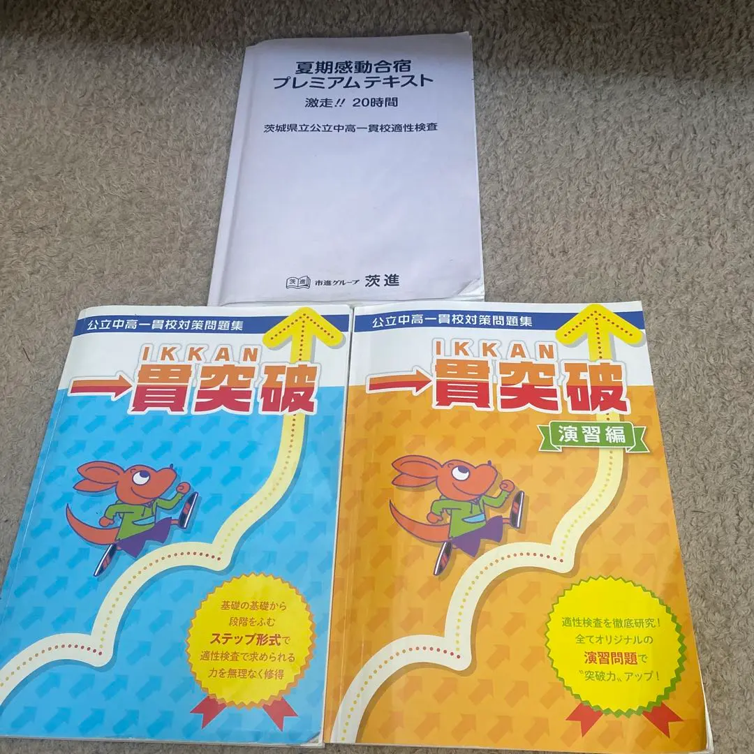 2025年最新】茨進＃市進の人気アイテム - メルカリ