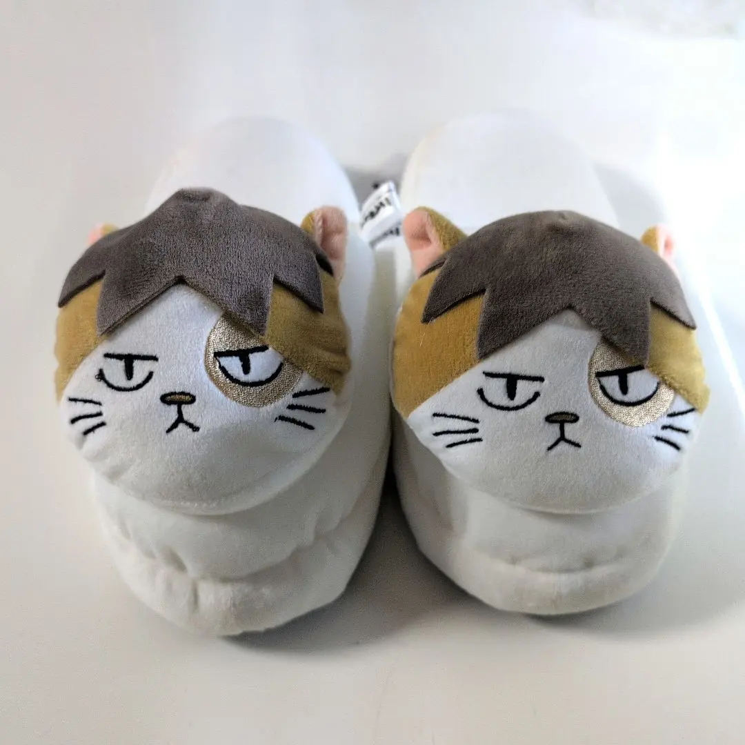 ハイキュー　ケンマネコ　ルームシューズ　ティッシュケース　アベイル　しまむら ハイキュー!!』新作グッズが本日（8/10）よりアベイルにて発売