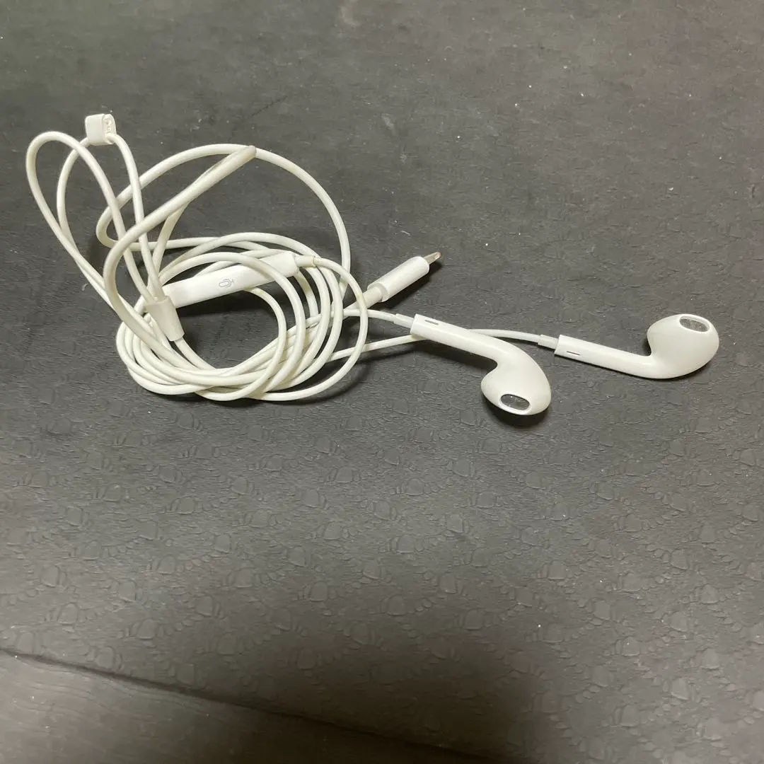 Apple 原廠 Lightning EarPods 的縮圖
