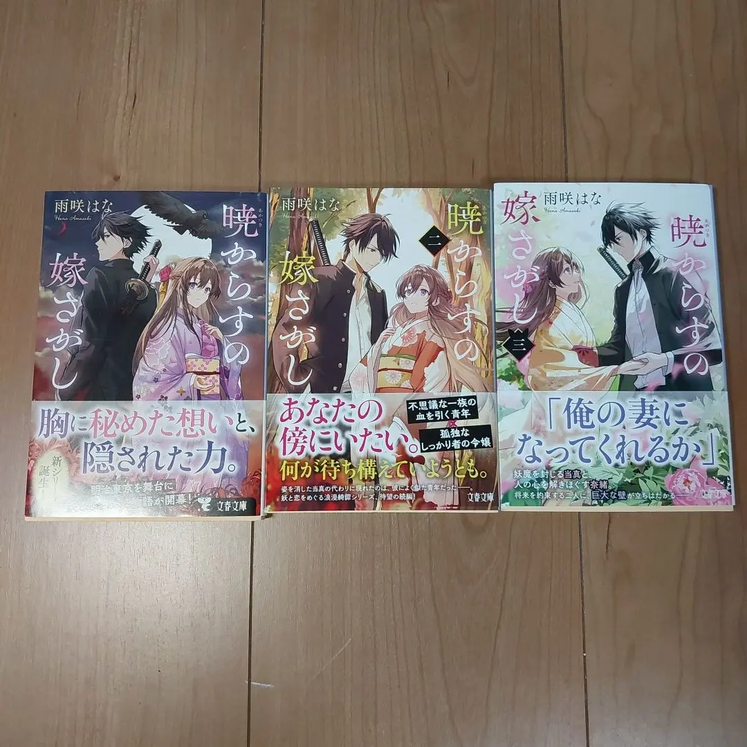 Thumbnail of Akatsuki Karasu no Yome Sagashi (The Raven of Dawn's Bride Search) Complete 3-Volume Set