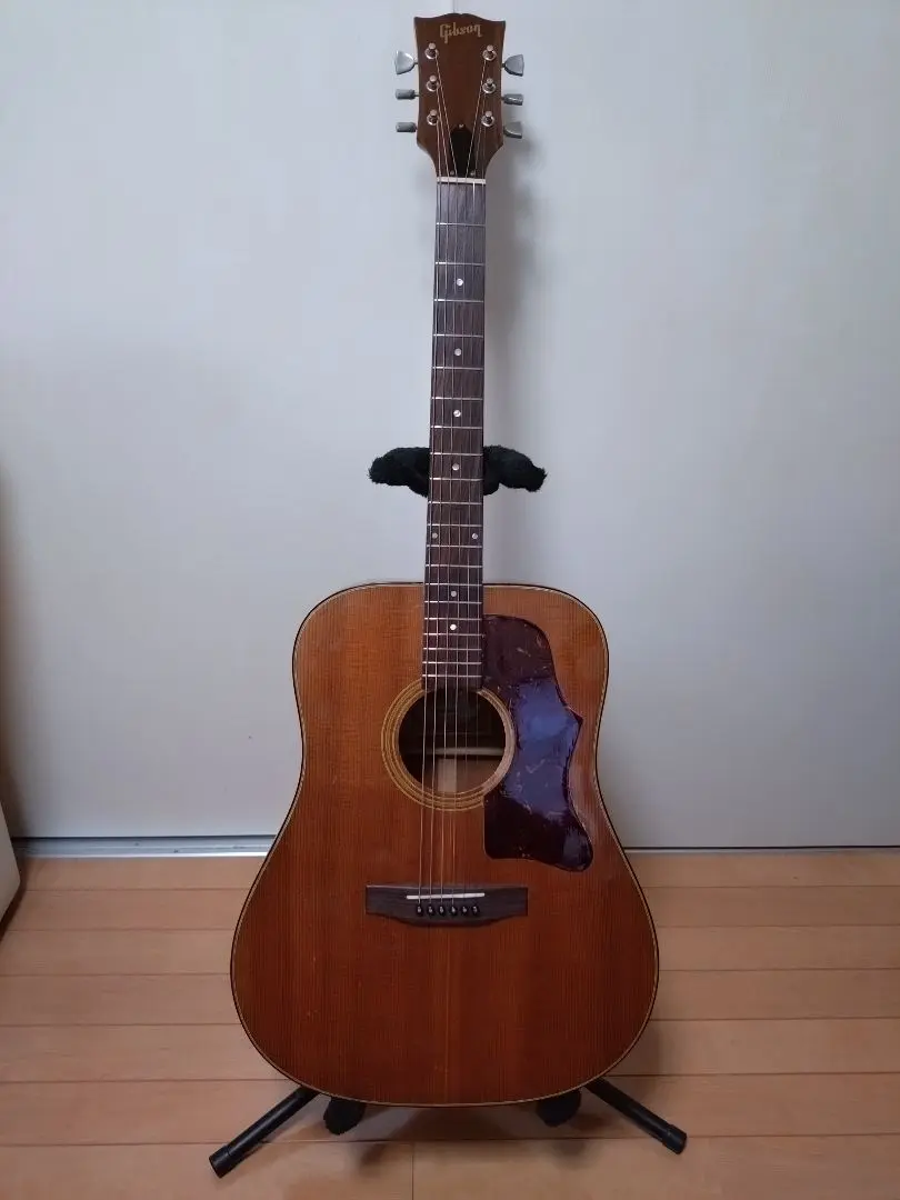 2025年最新】ハードケース GIBSON 70年代の人気アイテム - メルカリ